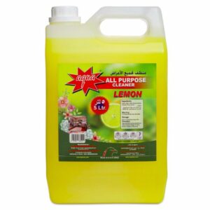 5 litre all purpose cleaner