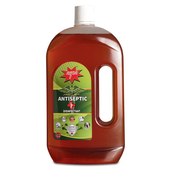Aqua Antiseptic disinfectant liquid buy online